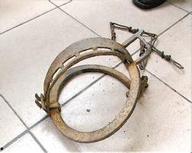 捕兽器,揭秘野生动物捕捉与保护的奥秘